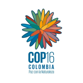 Imagen de Definen espacios de participacin para COP16 HAY AVANCES Y SE REFLEJA UN GRAN TRABAJO DE LA GOBERNACIN: DIPUTADOS