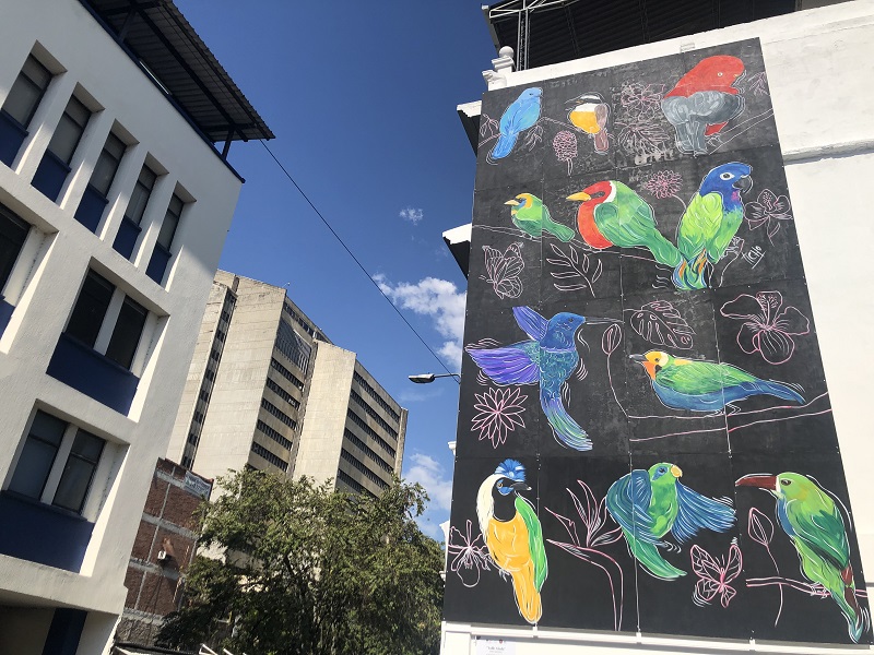 Legado para nios y jvenes MURAL VALLE ALADO UNA MUESTRA DE NUESTRA RIQUEZA DE AVES PARA EL MUNDO