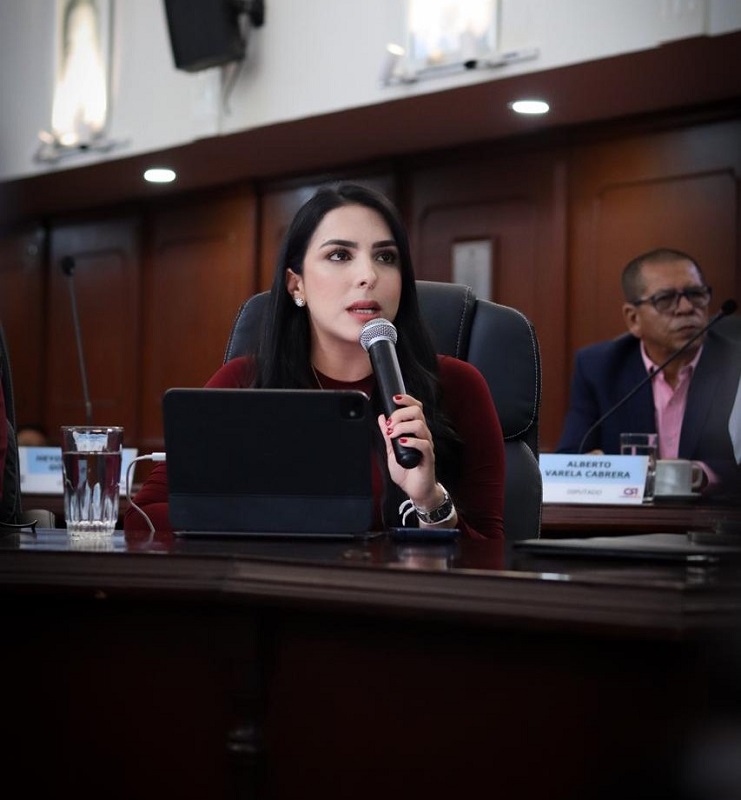 Por seguridad, orden pblico y alertas tempranas CITAN DEBATE CON SECRETARA DE CONVIVENCIA, E INVITACIN A ALTO GOBIERNO Y FUERZA PBLICA